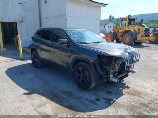 JEEP CHEROKEE 2019 1c4pjmdx1kd367625