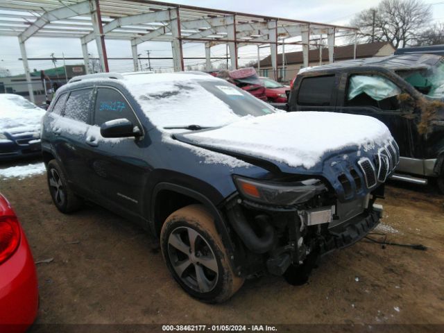 JEEP CHEROKEE 2019 1c4pjmdx1kd394209