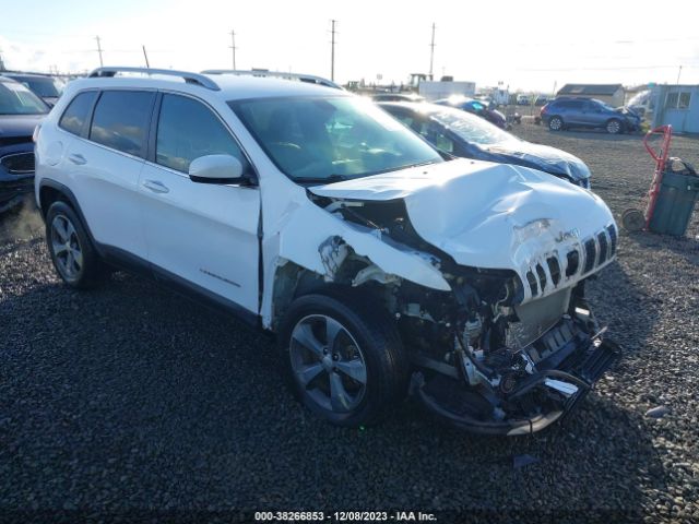 JEEP CHEROKEE 2019 1c4pjmdx1kd408108