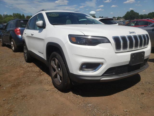 JEEP CHEROKEE L 2019 1c4pjmdx1kd422784