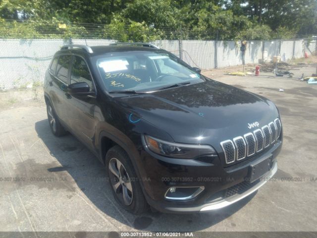 JEEP CHEROKEE 2019 1c4pjmdx1kd424096