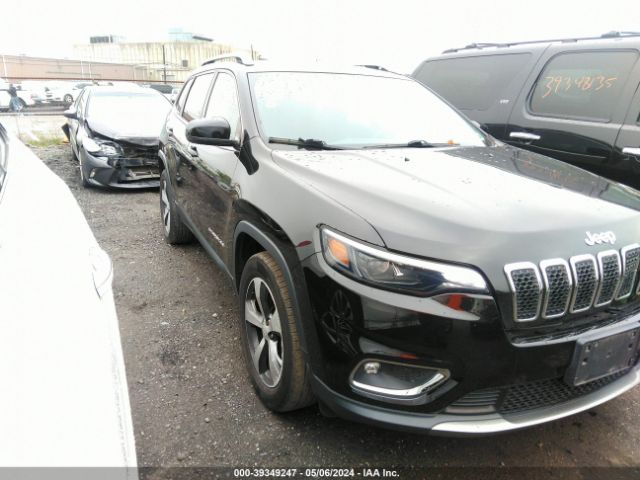 JEEP CHEROKEE 2019 1c4pjmdx1kd424616