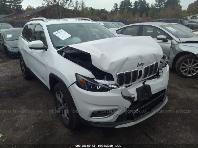 JEEP CHEROKEE 2019 1c4pjmdx1kd437737