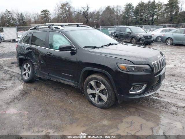 JEEP CHEROKEE 2019 1c4pjmdx1kd449547