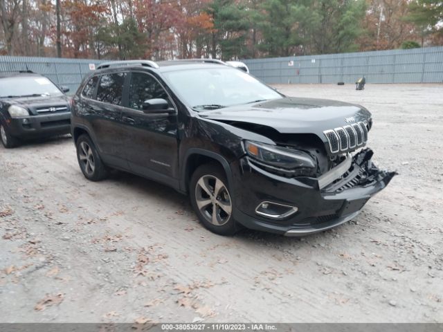 JEEP CHEROKEE 2019 1c4pjmdx1kd451007