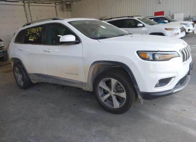 JEEP CHEROKEE 2019 1c4pjmdx1kd456675