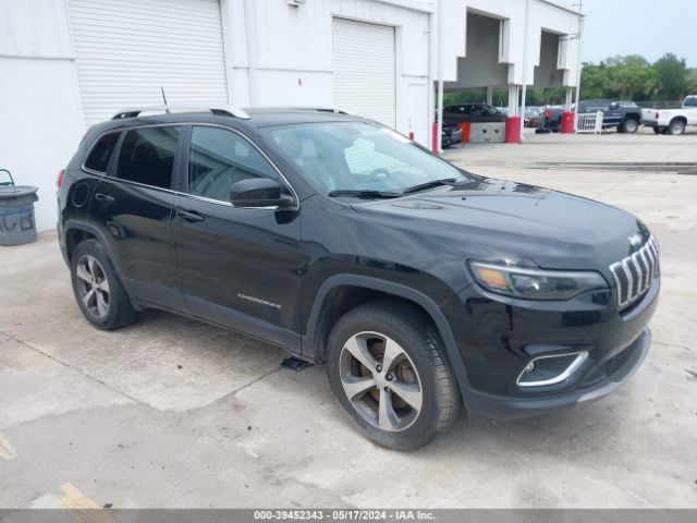 JEEP CHEROKEE 2019 1c4pjmdx1kd458488