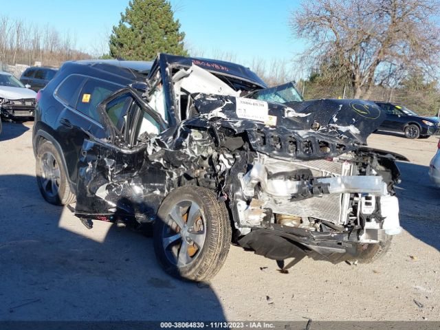 JEEP CHEROKEE 2019 1c4pjmdx1kd465683