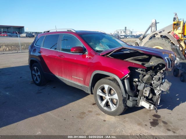 JEEP CHEROKEE 2019 1c4pjmdx1kd480653