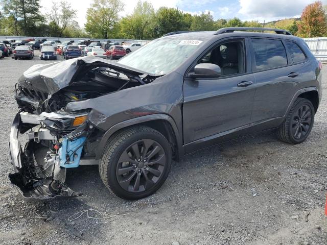 JEEP CHEROKEE L 2020 1c4pjmdx1ld603224