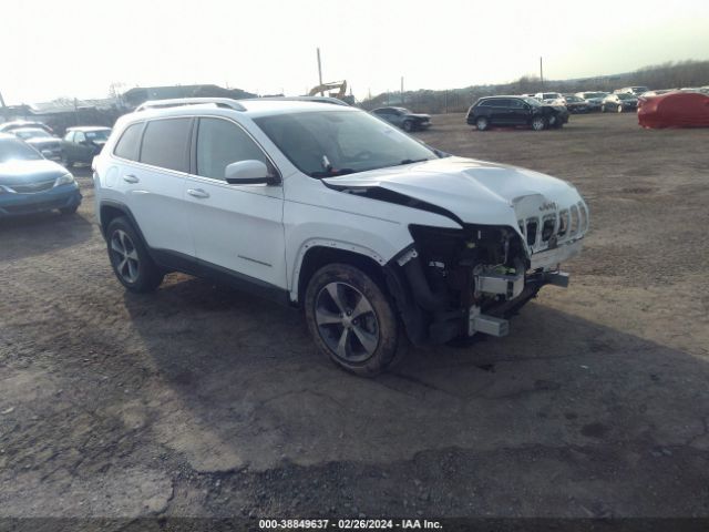 JEEP CHEROKEE 2019 1c4pjmdx2kd125989