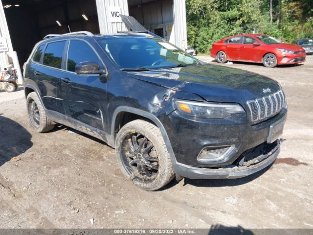 JEEP CHEROKEE 2019 1c4pjmdx2kd126348