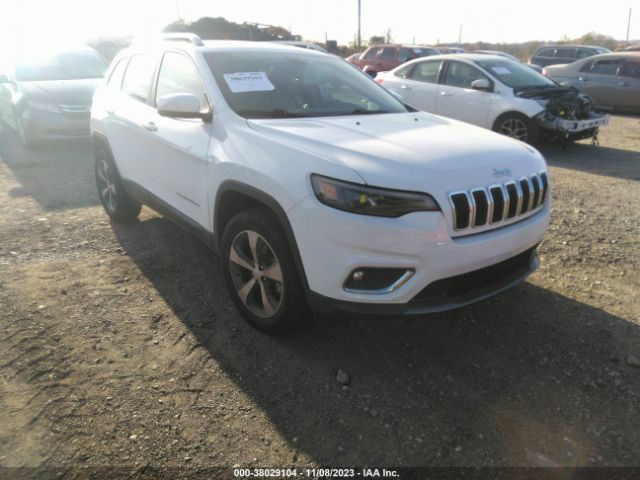 JEEP CHEROKEE 2019 1c4pjmdx2kd228748