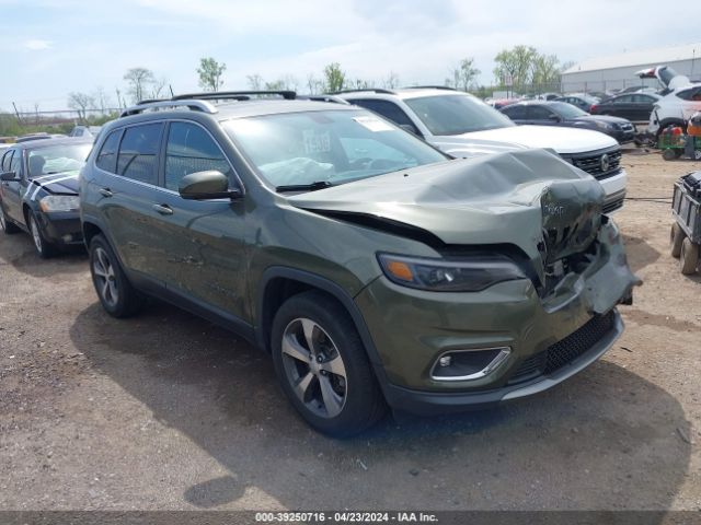 JEEP CHEROKEE 2019 1c4pjmdx2kd237546