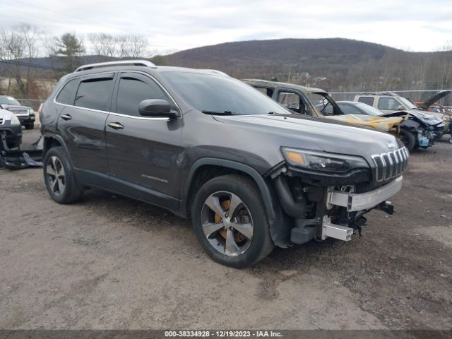 JEEP CHEROKEE 2019 1c4pjmdx2kd282311