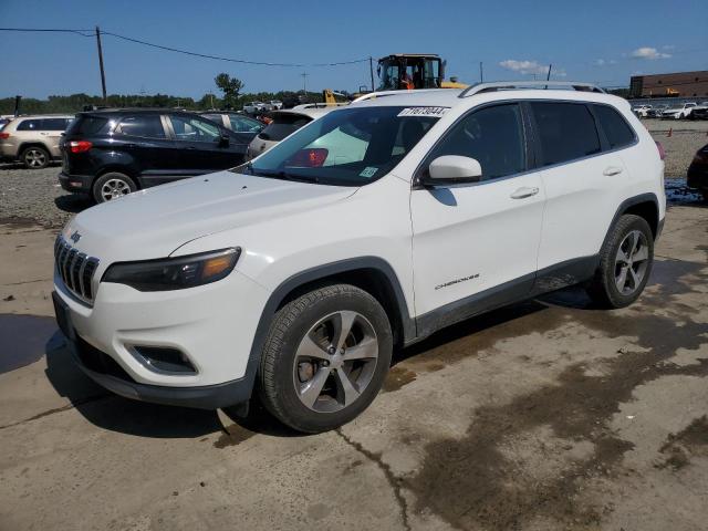 JEEP CHEROKEE L 2019 1c4pjmdx2kd294703