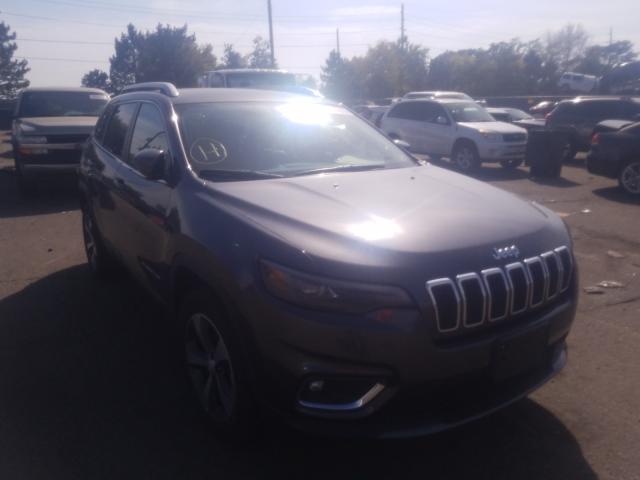 JEEP CHEROKEE L 2019 1c4pjmdx2kd303707