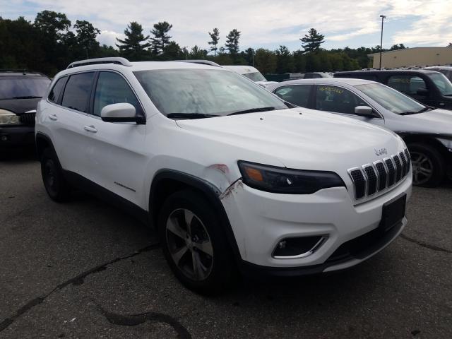 JEEP CHEROKEE L 2019 1c4pjmdx2kd334276