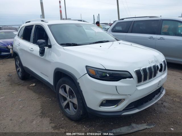 JEEP CHEROKEE 2019 1c4pjmdx2kd385793