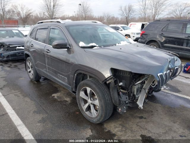 JEEP CHEROKEE 2019 1c4pjmdx2kd393991