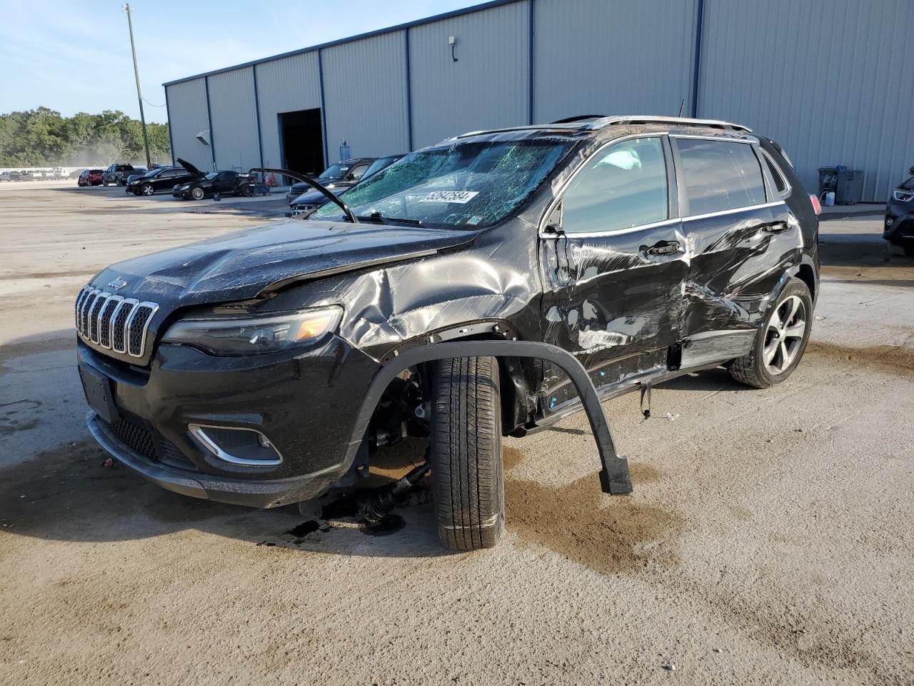 JEEP GRAND CHEROKEE 2019 1c4pjmdx2kd395272