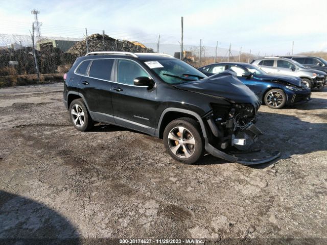 JEEP CHEROKEE 2019 1c4pjmdx2kd456152