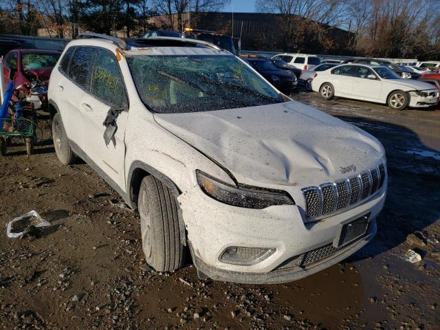 JEEP CHEROKEE L 2019 1c4pjmdx2kd460430