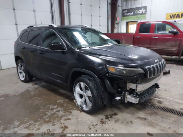 JEEP CHEROKEE 2019 1c4pjmdx2kd460492