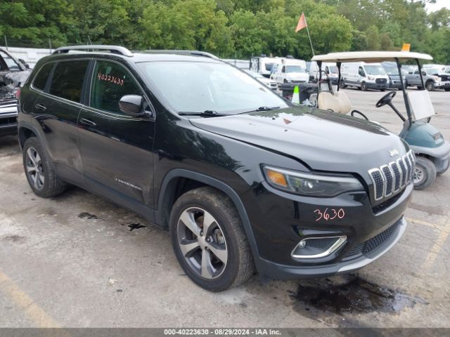 JEEP CHEROKEE 2019 1c4pjmdx2kd463277