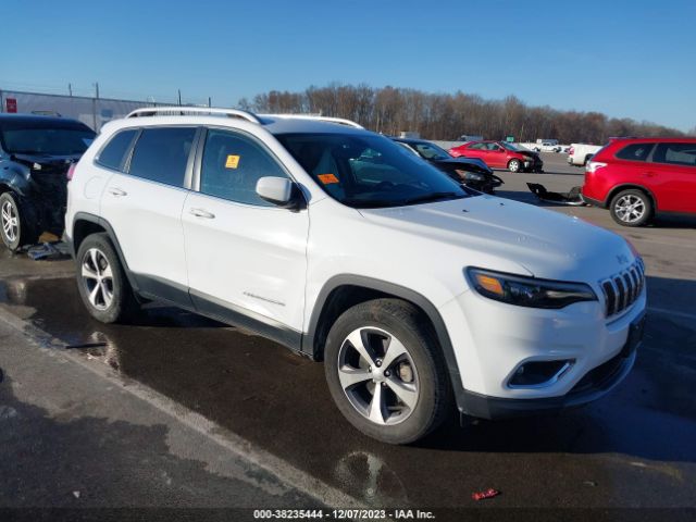 JEEP CHEROKEE 2020 1c4pjmdx2ld587423