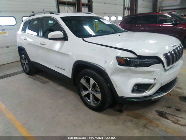 JEEP CHEROKEE 2020 1c4pjmdx2ld588619