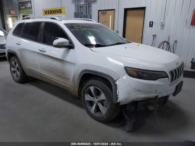 JEEP CHEROKEE 2021 1c4pjmdx2md184219