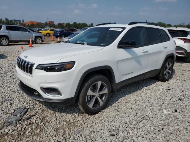 JEEP CHEROKEE 2022 1c4pjmdx2nd513924