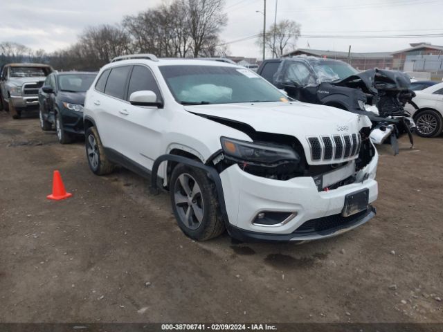 JEEP CHEROKEE 2019 1c4pjmdx3kd118078