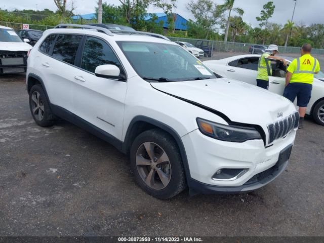 JEEP CHEROKEE 2019 1c4pjmdx3kd121028