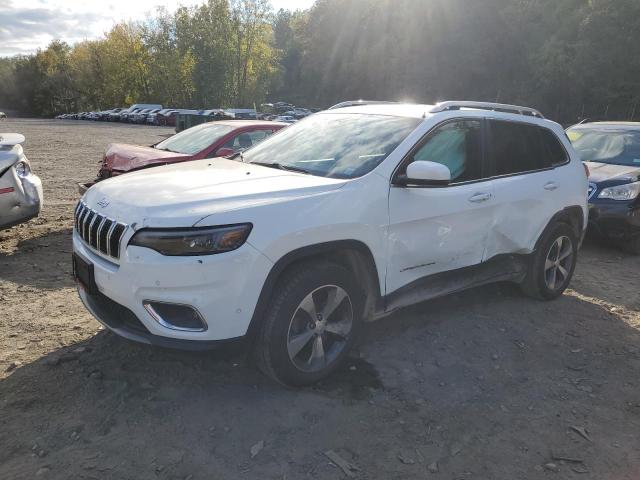 JEEP CHEROKEE L 2019 1c4pjmdx3kd229987