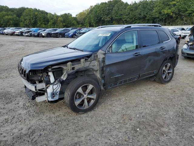 JEEP CHEROKEE L 2019 1c4pjmdx3kd235787