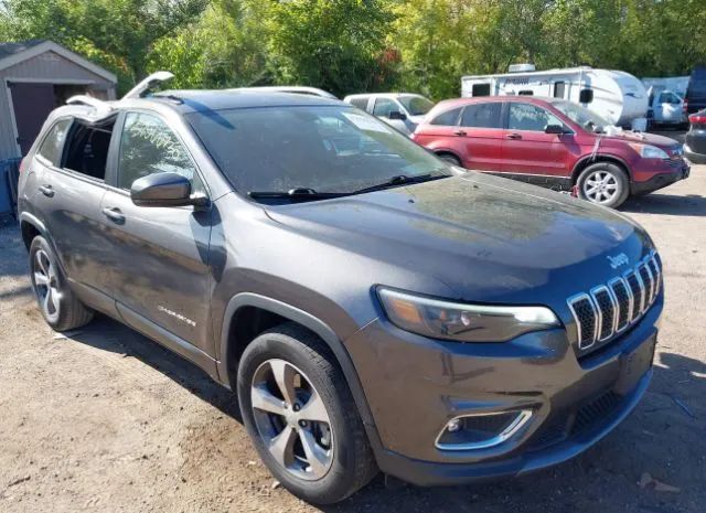 JEEP CHEROKEE 2019 1c4pjmdx3kd309385