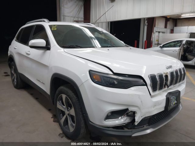 JEEP CHEROKEE 2019 1c4pjmdx3kd313937