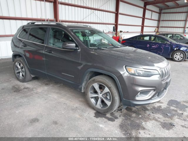 JEEP CHEROKEE 2019 1c4pjmdx3kd336134