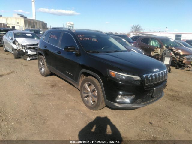 JEEP CHEROKEE 2019 1c4pjmdx3kd345173