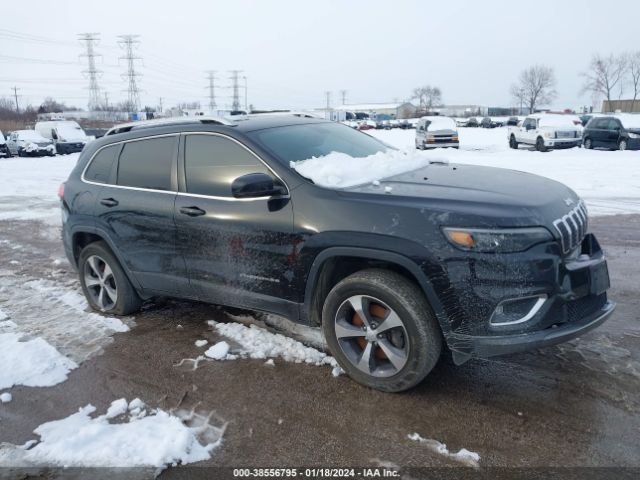 JEEP CHEROKEE 2019 1c4pjmdx3kd351975