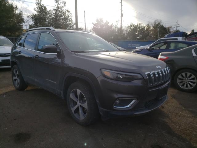 JEEP CHEROKEE L 2019 1c4pjmdx3kd412242