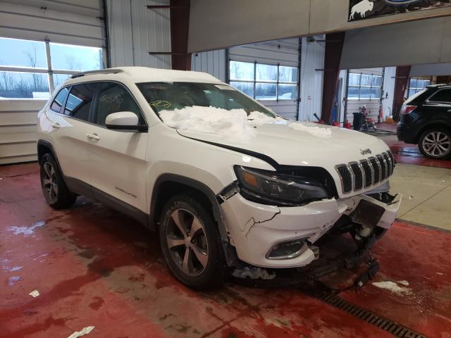 JEEP CHEROKEE L 2019 1c4pjmdx3kd435407