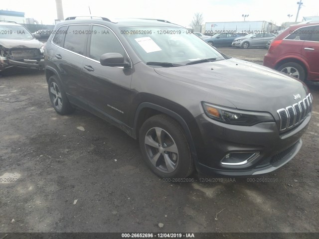 JEEP CHEROKEE 2019 1c4pjmdx4kd165488