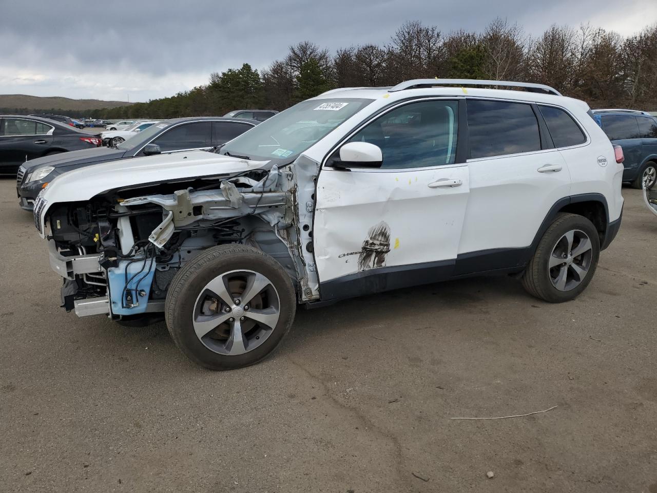 JEEP CHEROKEE 2018 1c4pjmdx4kd255529