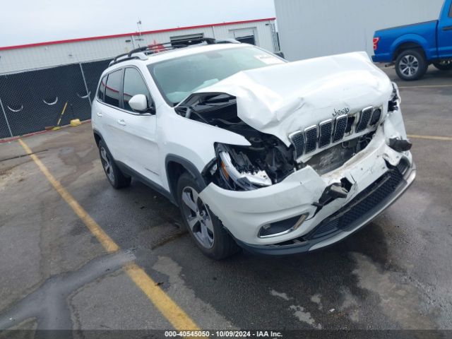 JEEP CHEROKEE 2019 1c4pjmdx4kd369725