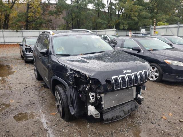 JEEP CHEROKEE 2019 1c4pjmdx4kd383608