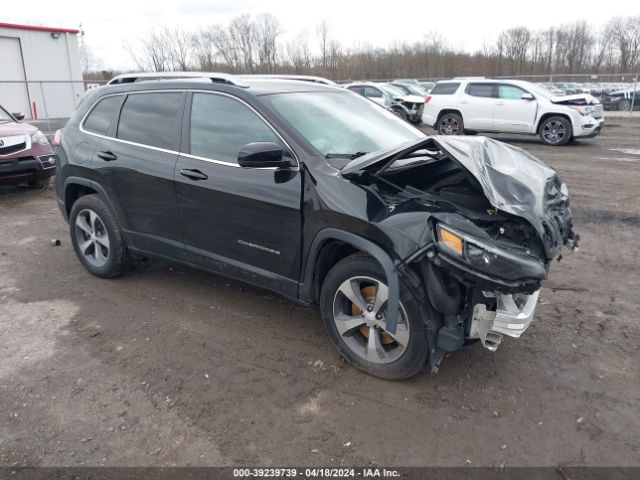 JEEP CHEROKEE 2019 1c4pjmdx4kd386847