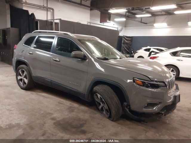 JEEP CHEROKEE 2019 1c4pjmdx4kd390252